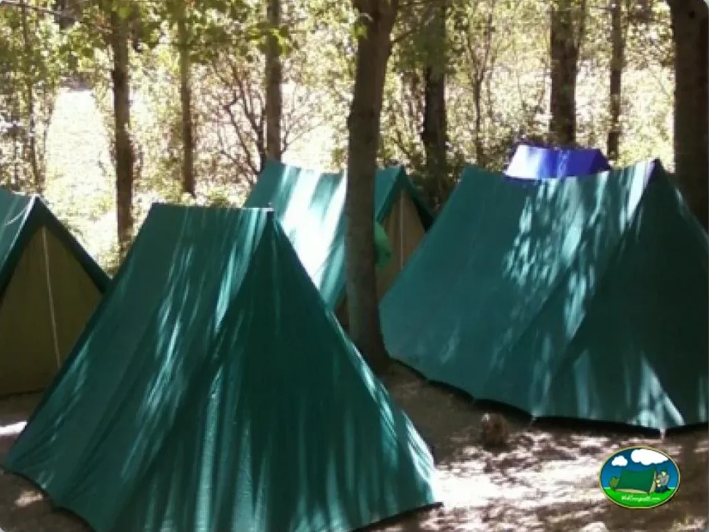 Tiendas de acampada en zona arbolada del Camping Sierra de Peñascosa, Peñascosa (Albacete)