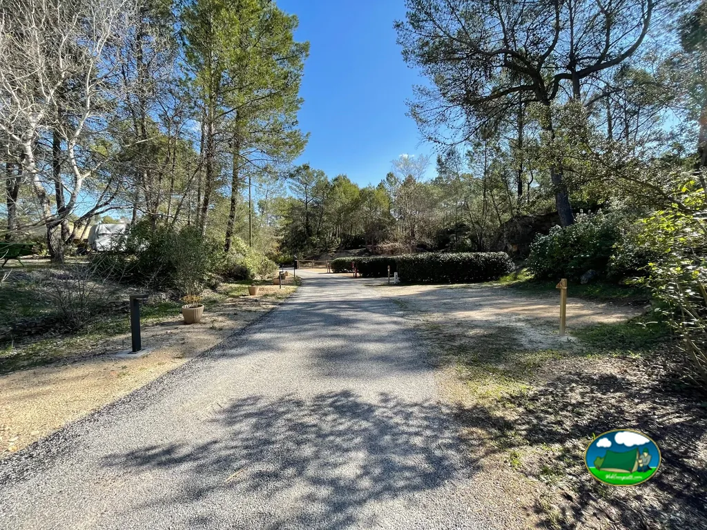 camino de grava entre pinos que da acceso a las parcelas del camping en Cotignac