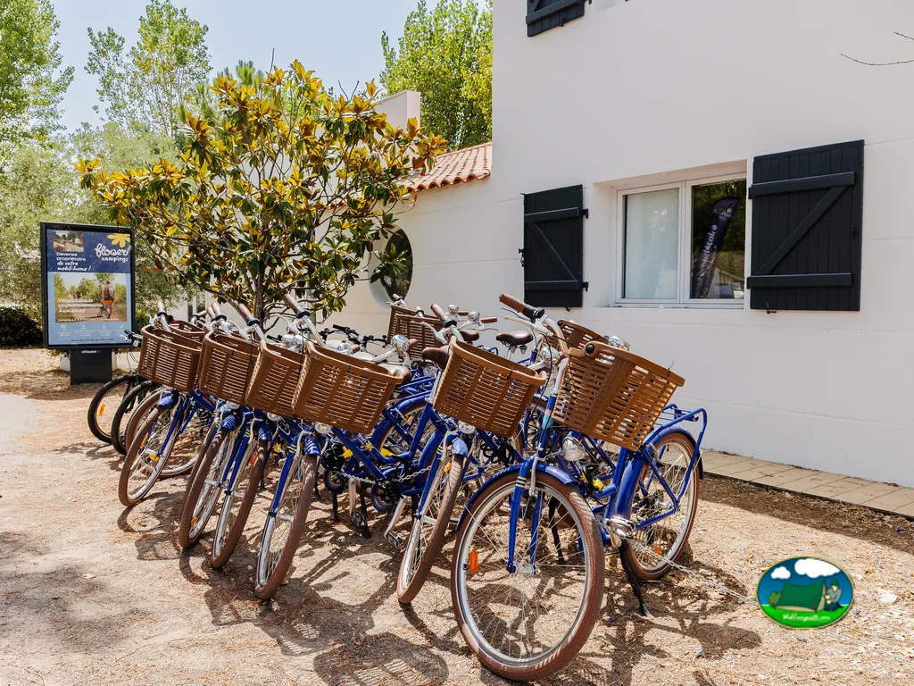 hilera de bicicletas de alquiler con cestas junto al edificio de recepción del camping