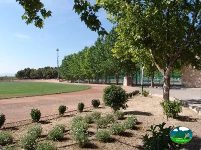 Parcela con árboles y vistas al campo del Camping La Rafa, Bullas (Murcia)