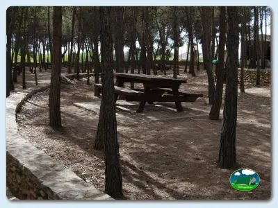 Parcela arbolada con mesa de picnic del Camping La Rafa, Bullas (Murcia)