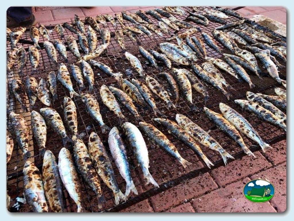 Actividades y animaci&oacute;n en Camping Playa de Mazarrón, España