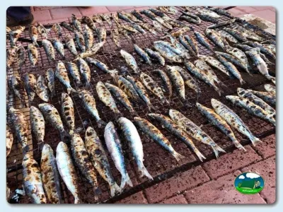 Pescado asado en parrilla del Camping Playa de Mazarrón, Bolnuevo (Murcia)