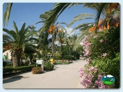Entrada con palmeras y flores del Camping Playa de Mazarrón, Bolnuevo (Murcia)
