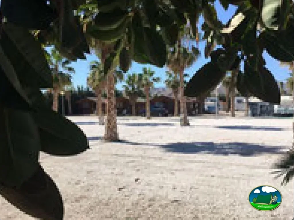 Parcela con sombra de palmeras del Camping Los Delfines, Mazarrón (Murcia)