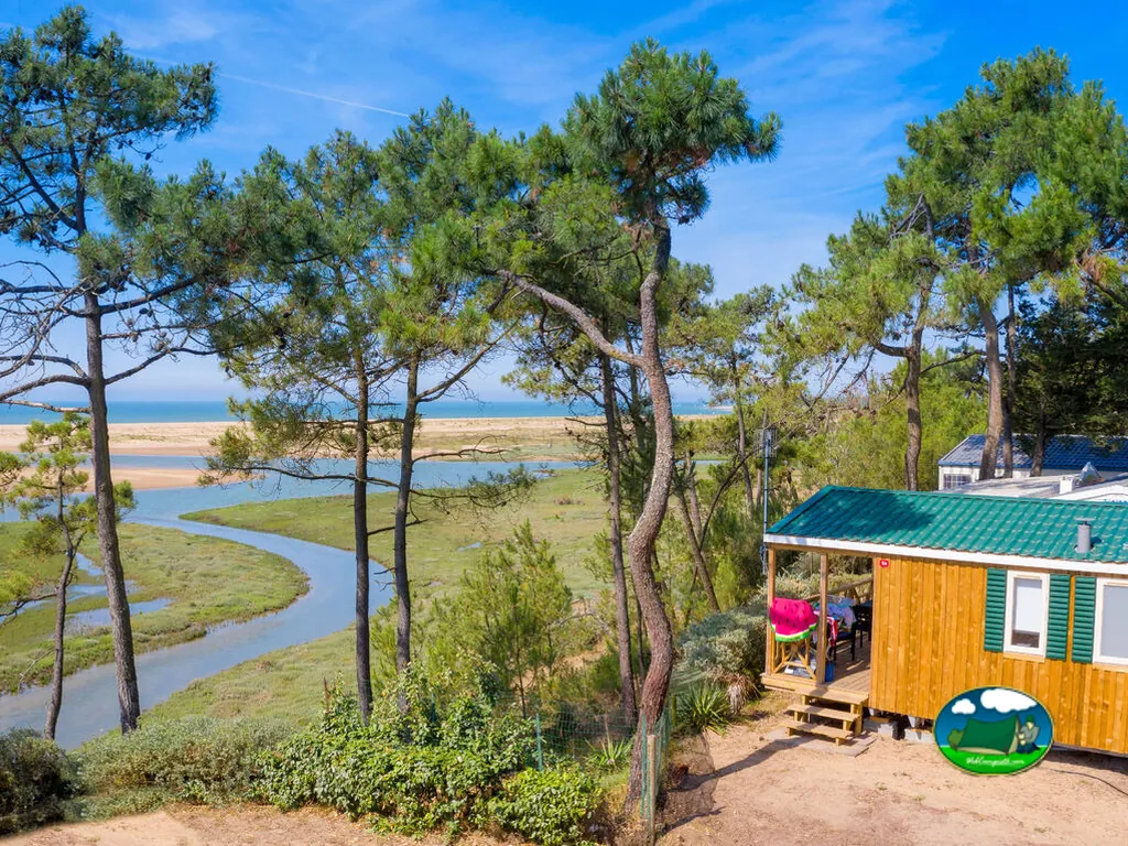 bungaló de madera con tejado verde entre pinos con vistas a la marisma y el mar en el camping de La Tranche-sur-Mer
