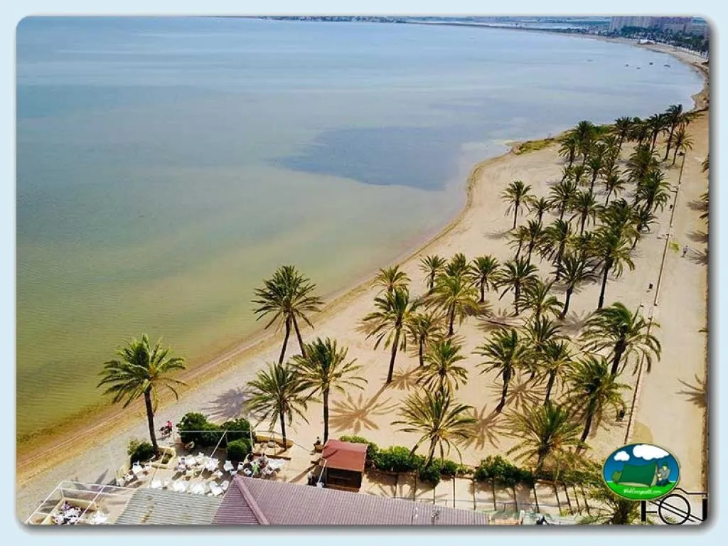 Playa junto al mar con palmeras y primera línea del Camping La Manga, La Manga del Mar Menor (Murcia)