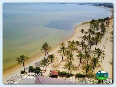 Playa junto al mar con palmeras y primera línea del Camping La Manga, La Manga del Mar Menor (Murcia)