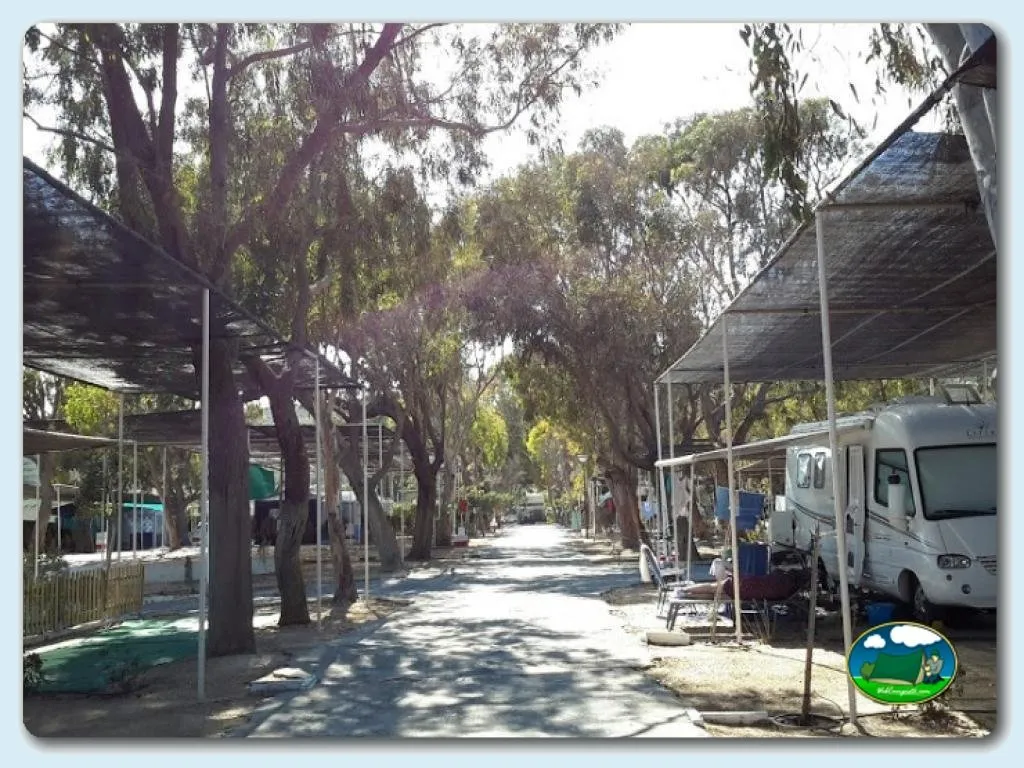 Camping Palm-Mar en Guardamar del Segura, Alicante - imagen 4