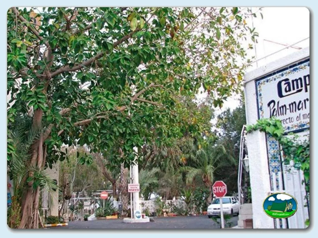 Camping Palm-Mar en Guardamar del Segura, Alicante - imagen 2