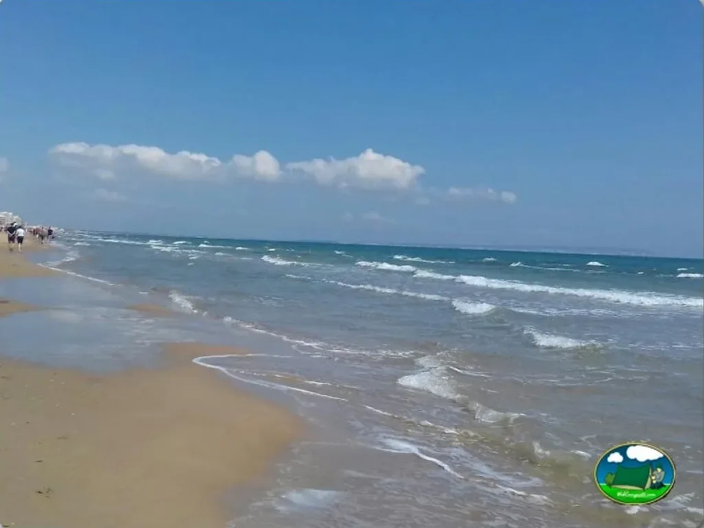 Camping Palm-Mar en Guardamar del Segura, Alicante - imagen 3