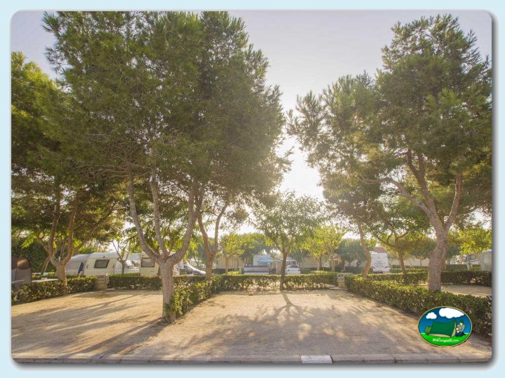 foto del camping Camping Alannia Guardamar