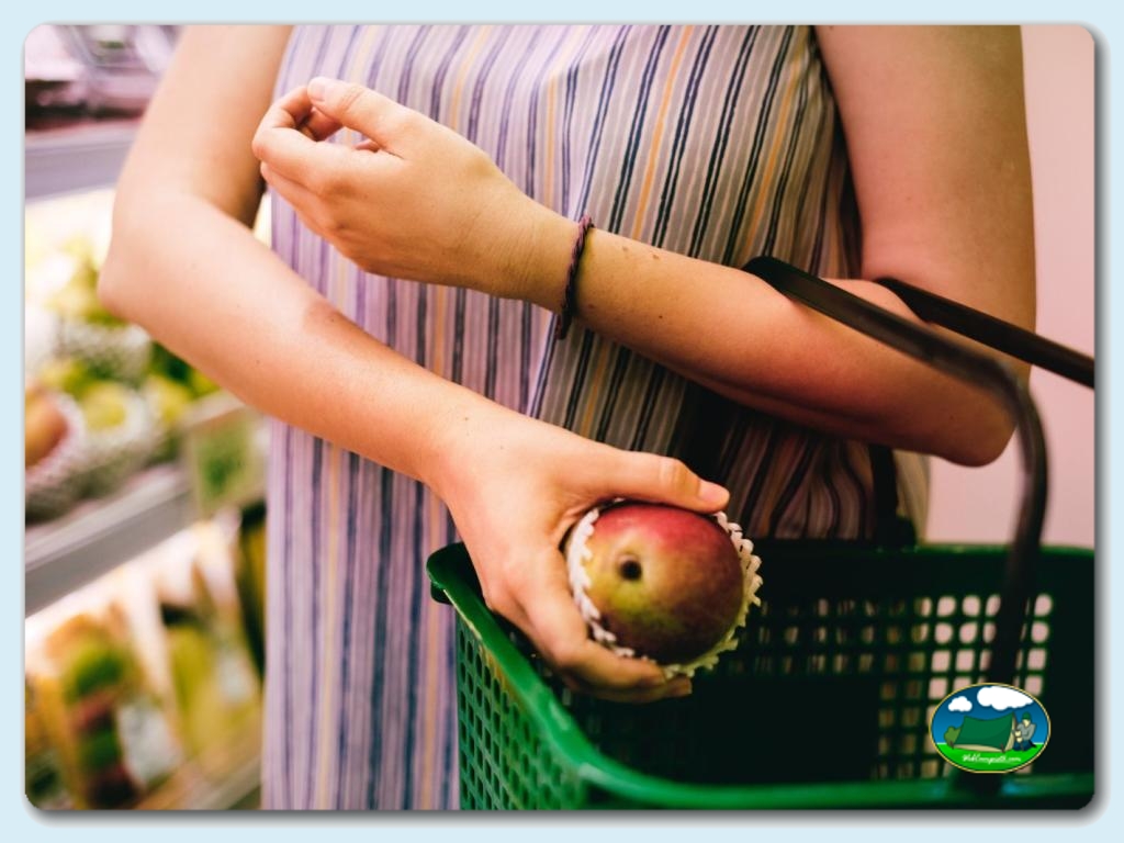 foto del camping Camping Alannia Guardamar