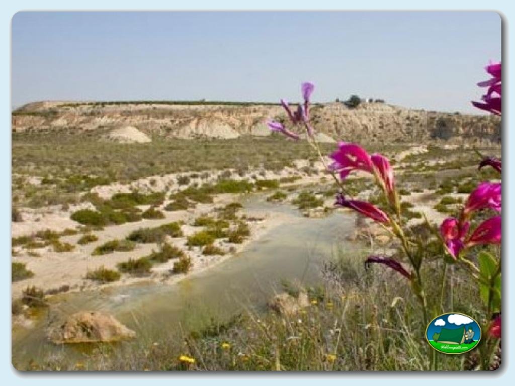 foto del camping Camping Fuente