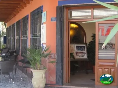 Recepción y zona de entrada del Camping Internacional Las Palmeras, Crevillent (Alicante)