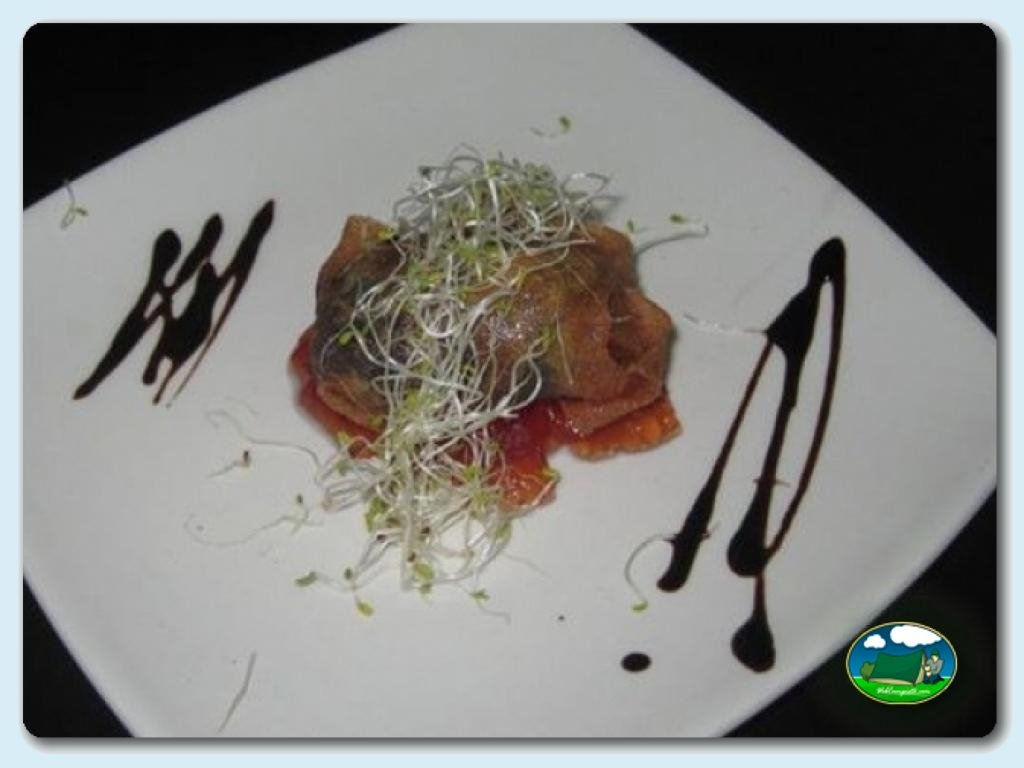 Camping Internacional Las Palmeras