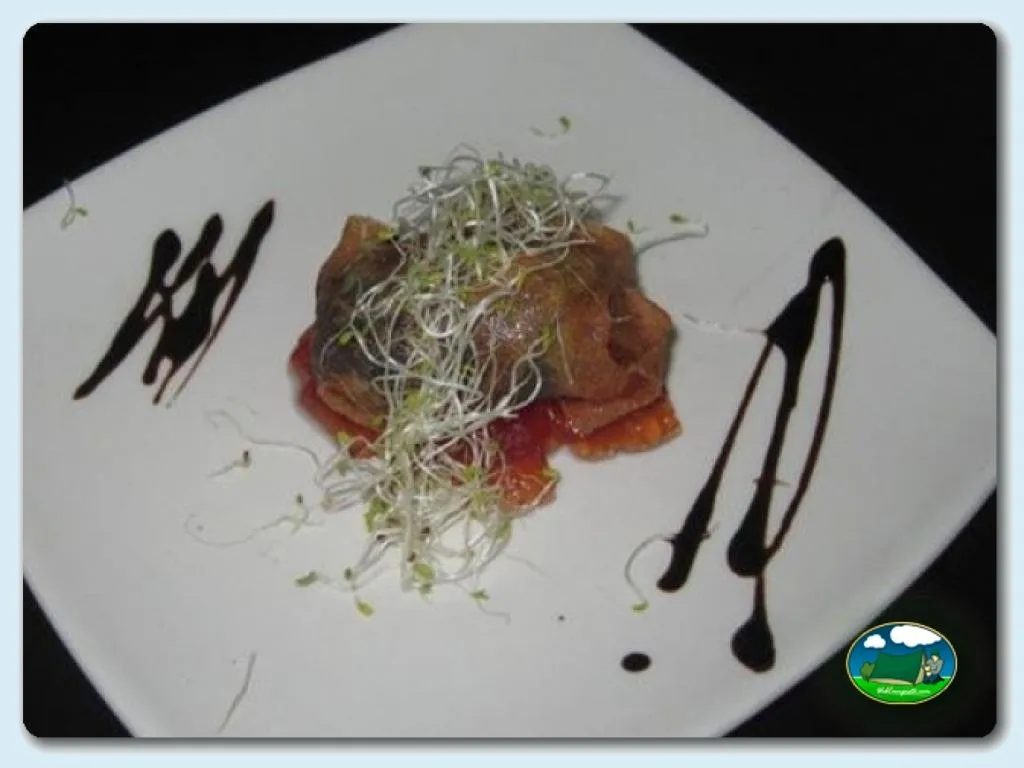 Camping Internacional Las Palmeras