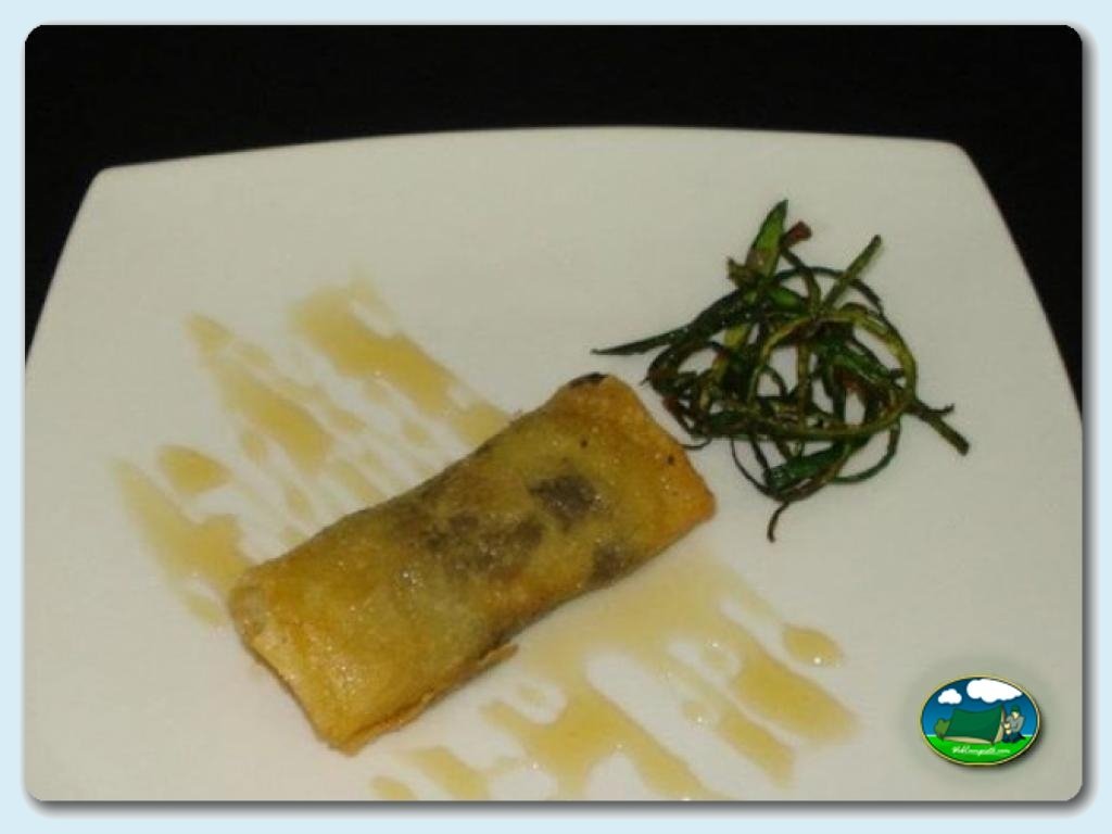 Camping Internacional Las Palmeras