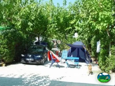 Parcela con tienda de acampada y coche del Camping Internacional Las Palmeras, Crevillent (Alicante)