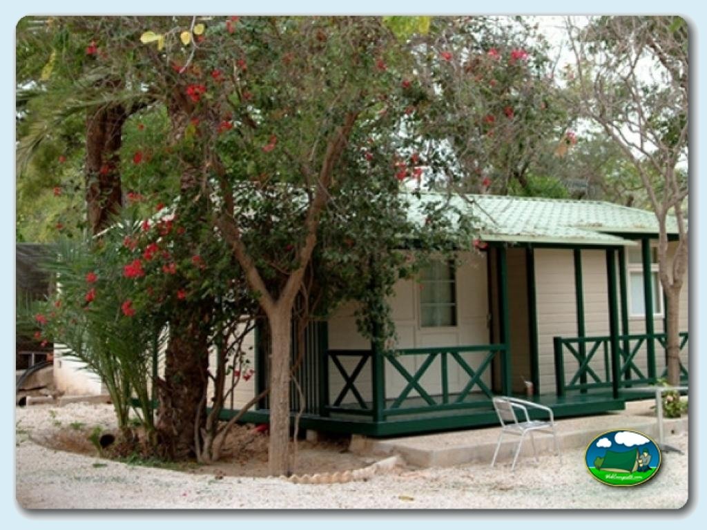 Camping Internacional Las Palmeras