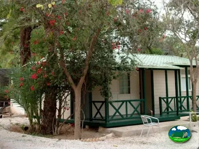 Bungalow con terraza y árbol de flores rojas del Camping Internacional Las Palmeras, Crevillent (Alicante)