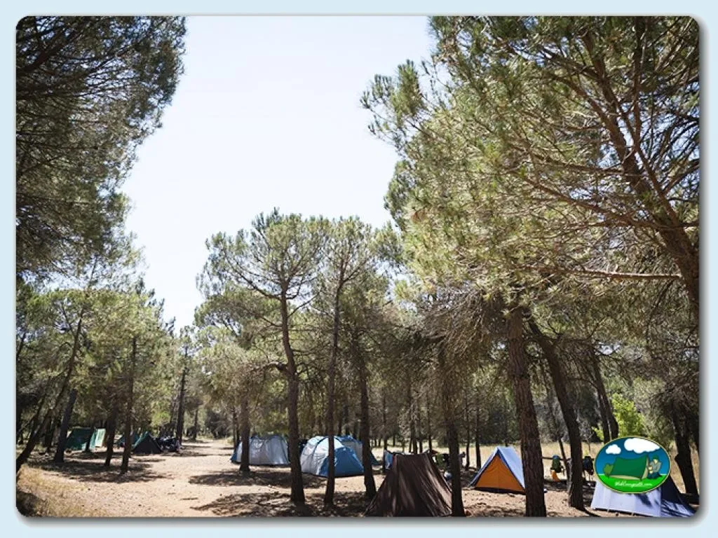 Foto de Camping Mariola, Valencia, Comunidad Valenciana, España - imagen 3