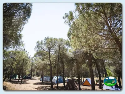Parcelas bajo pinar con tiendas de acampada del Camping Mariola, Bocairent (Valencia)