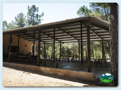 Restaurante con terraza cubierta entre pinos del Camping Mariola, Bocairent (Valencia)
