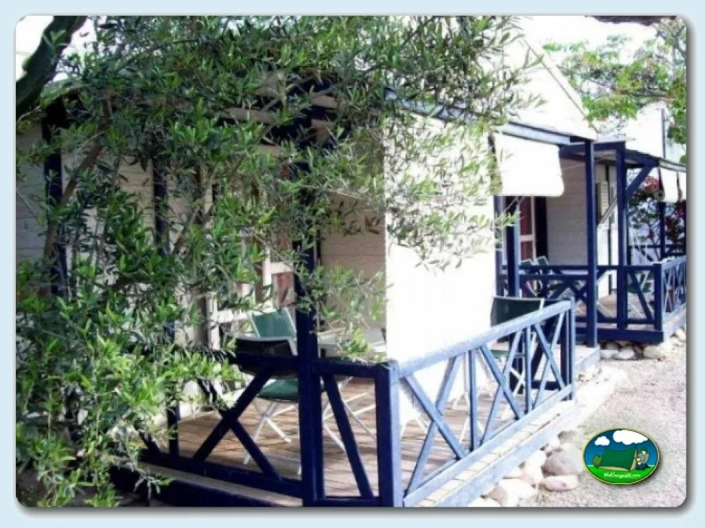 Bungalow con terraza y vegetación del Camping Bon Sol, El Campello (Alicante)