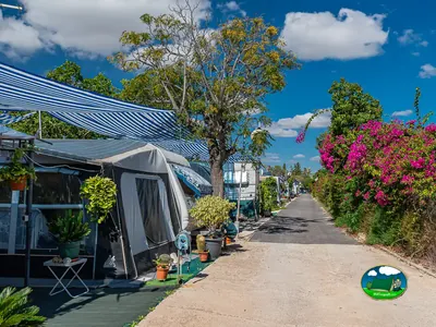 Parcela con tienda de acampada y toldo, flores magenta del Camping Bon Sol, El Campello (Alicante)