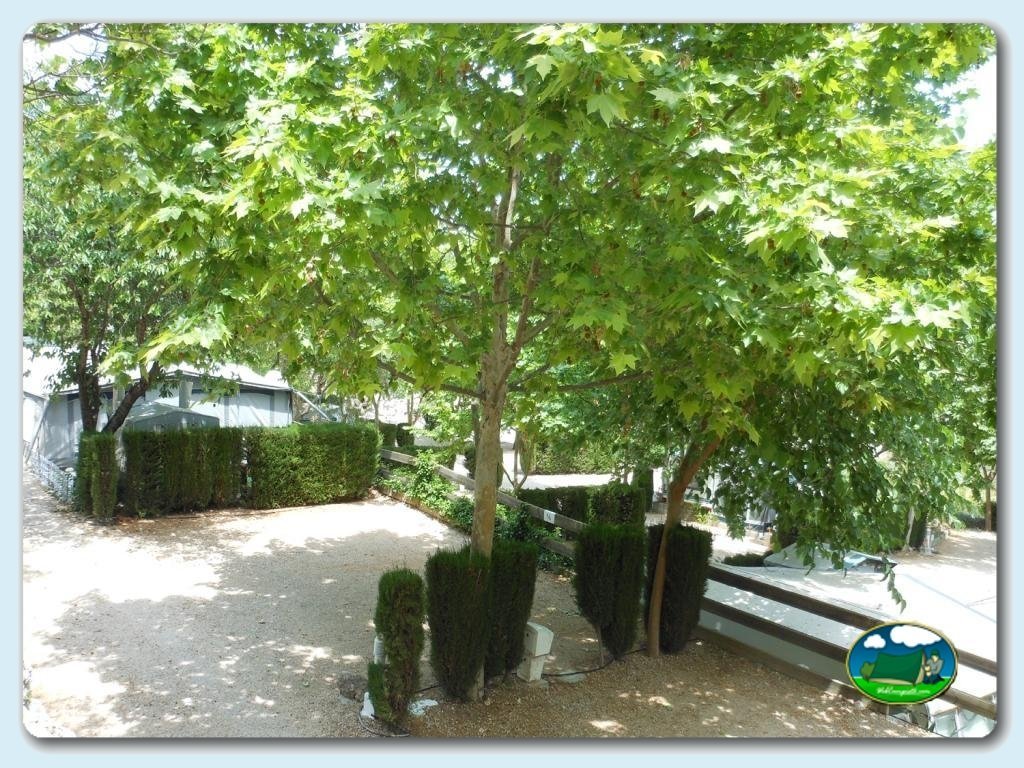 Parcelas en Camping  Vall de Laguar, Alicante, España