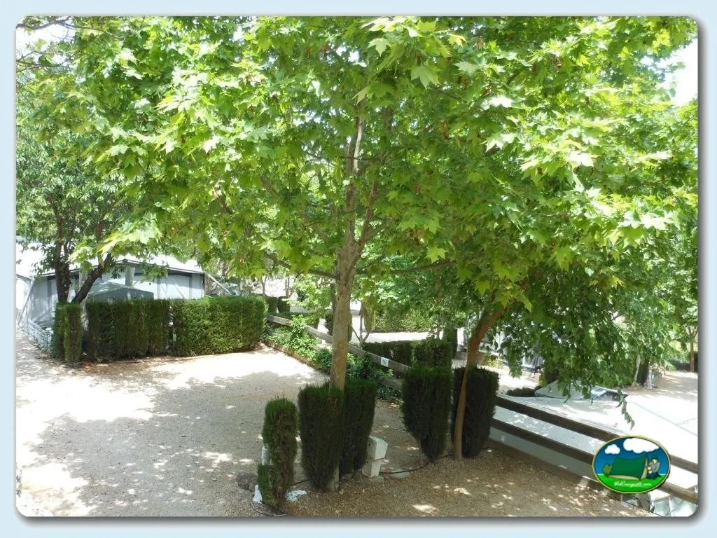 Foto de Camping Vall de Laguar, Alicante, Comunidad Valenciana, España - imagen 4