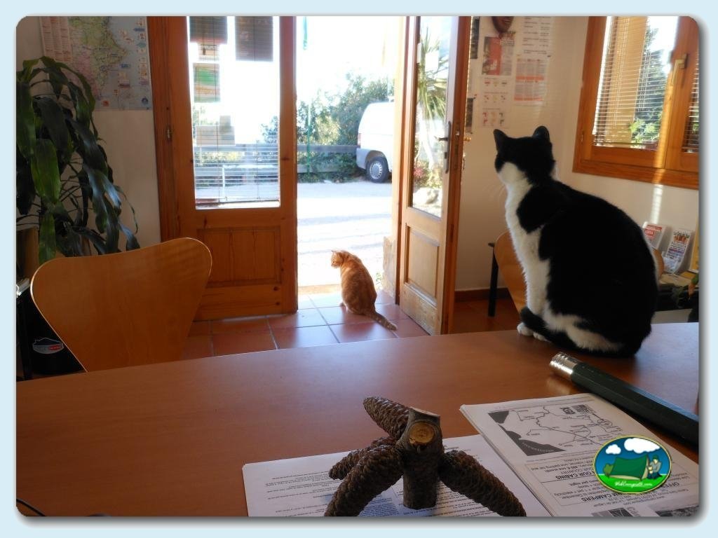 Animalitos en Camping  Vall de Laguar, Alicante, España