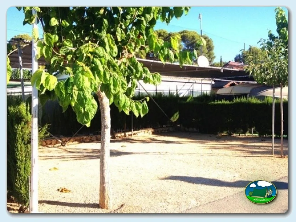Camping Benisol en Benidorm, Alicante - imagen 4