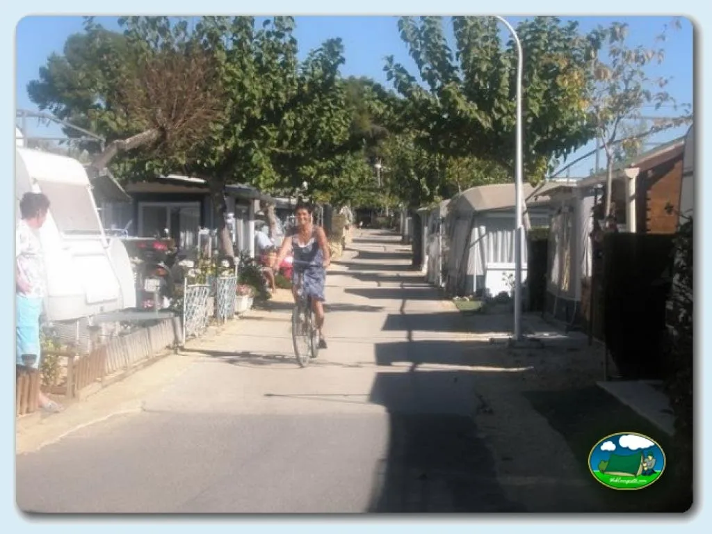 Camping Benisol en Benidorm, Alicante