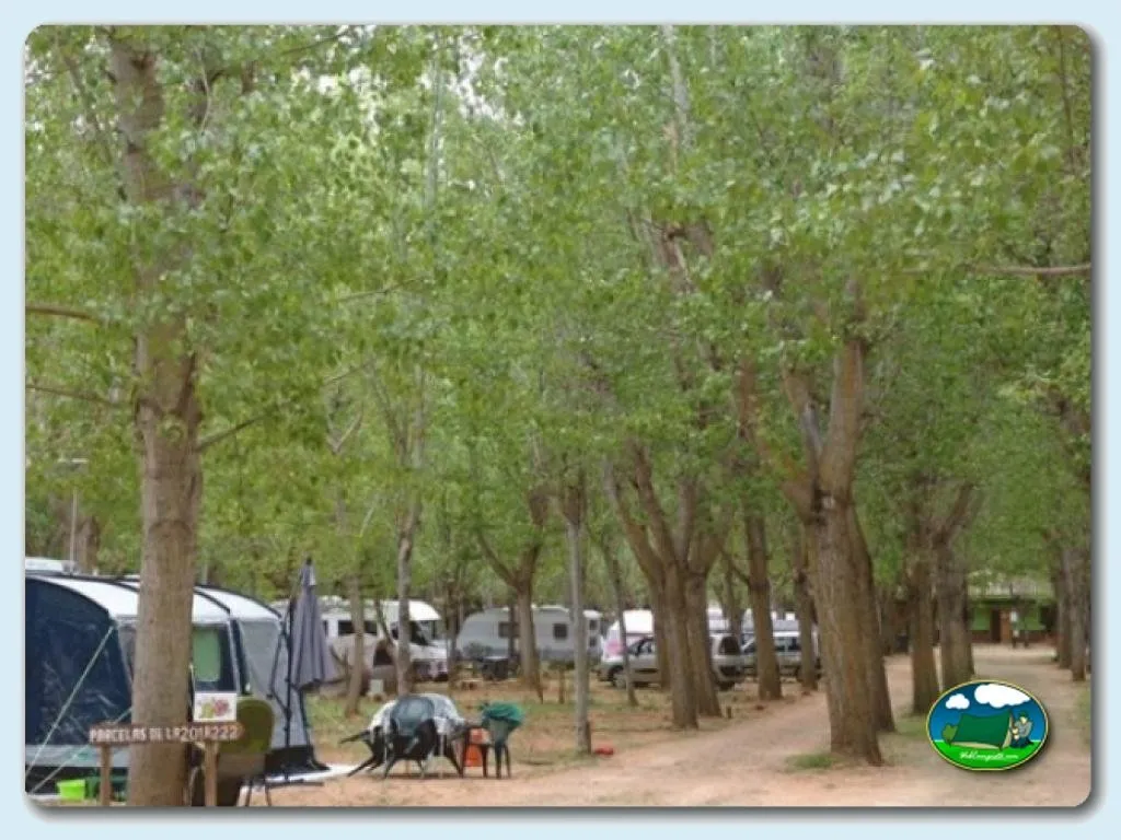 Parcela bajo árboles de sombra del Camping Montesinos, Ossa De Montiel (Albacete)