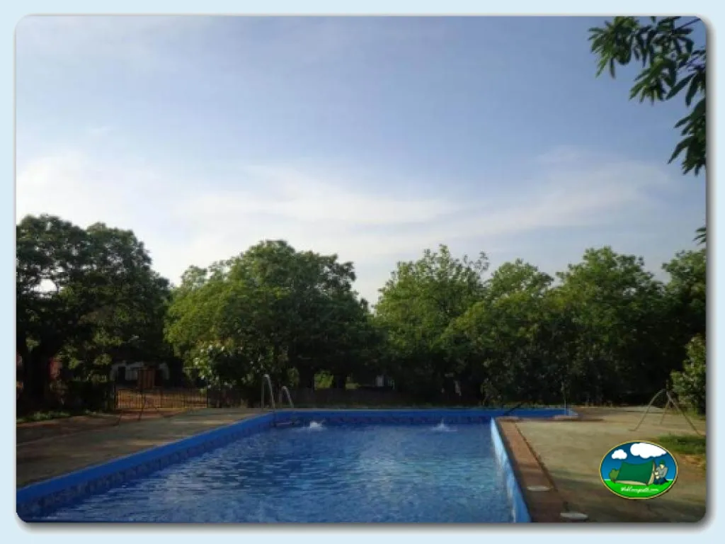 Camping El Madroñal en Fuenteheridos, Huelva - imagen 5