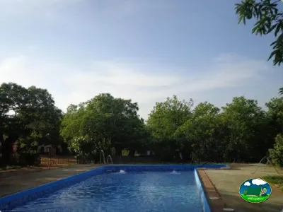 Piscina con vistas al entorno arbolado del Camping El Madroñal, Fuenteheridos (Huelva)