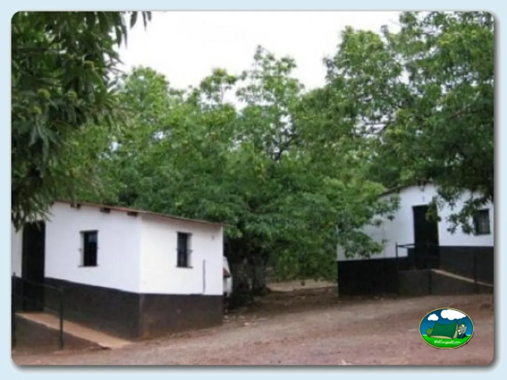 Camping El Madroñal en Fuenteheridos, Huelva - imagen 2