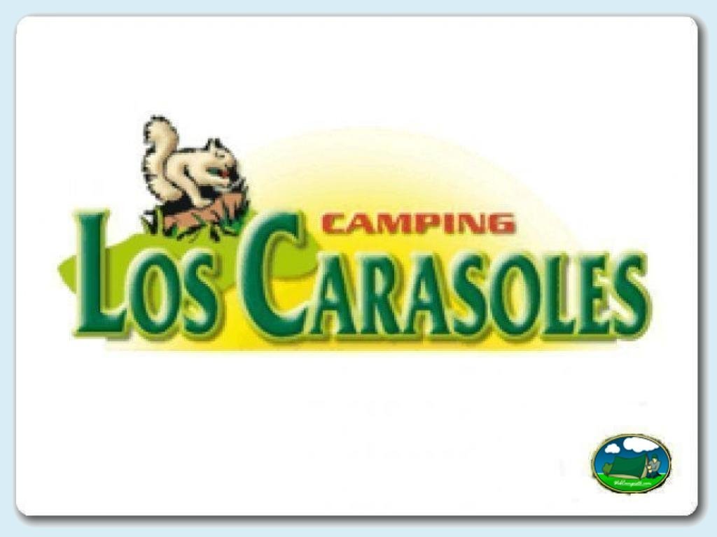 Camping Los Carasoles en Enguera