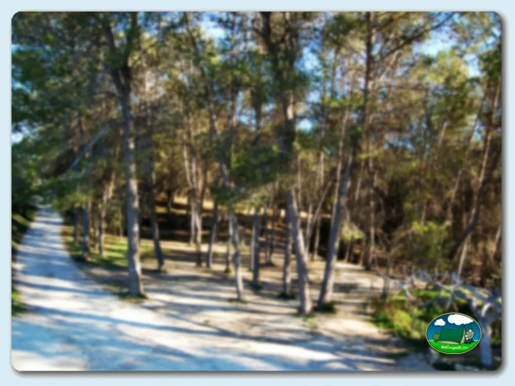 Camping El Teularet  en Enguera, Valencia - imagen 4