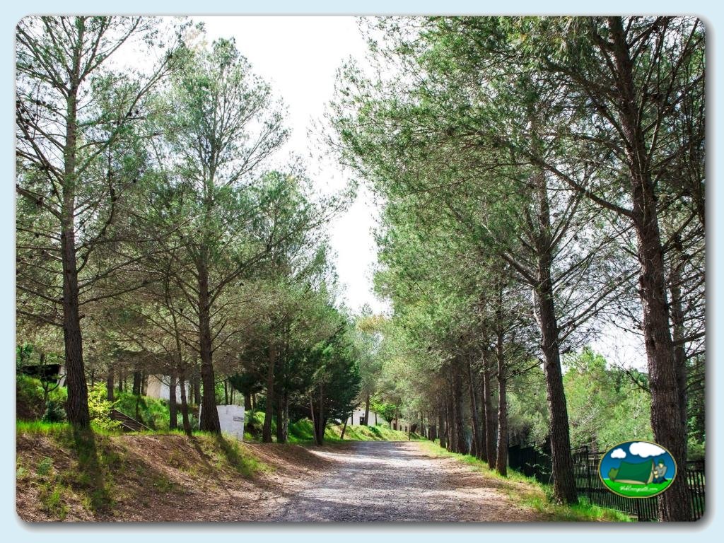 Camping Villa de Viver