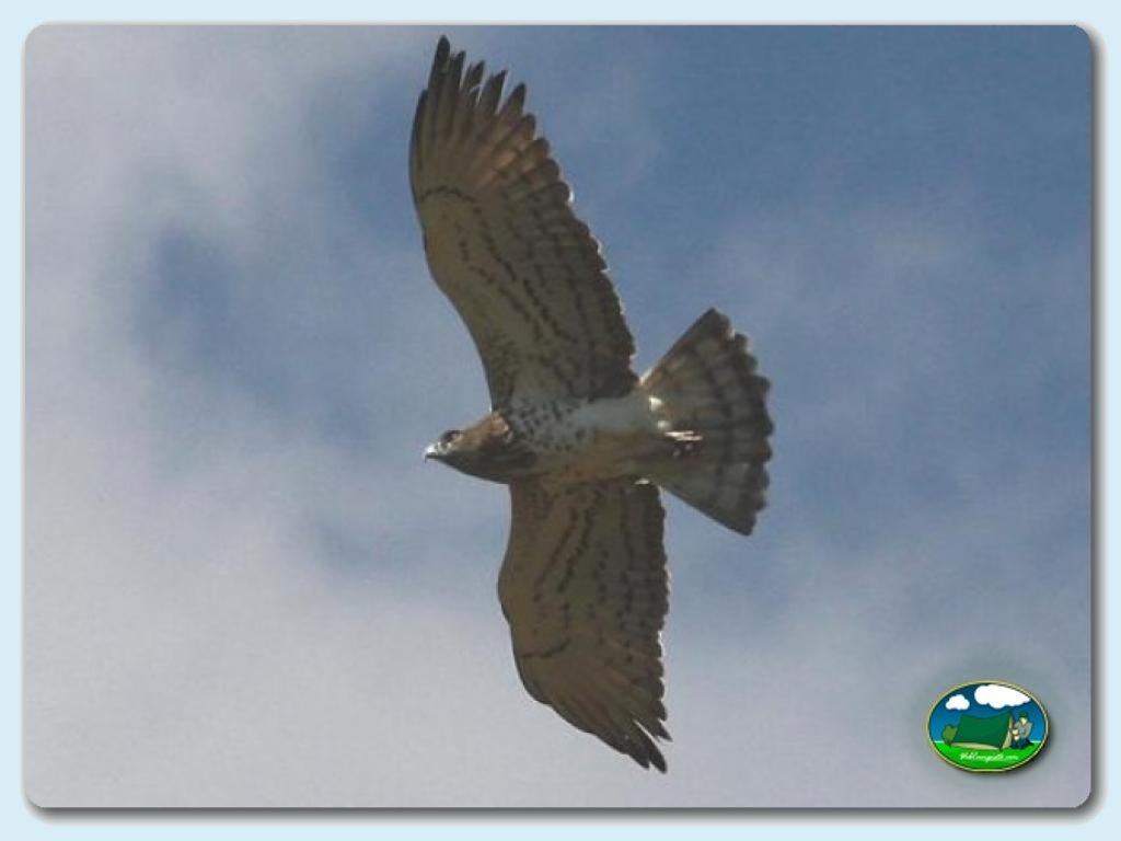 Camping Villa de Viver