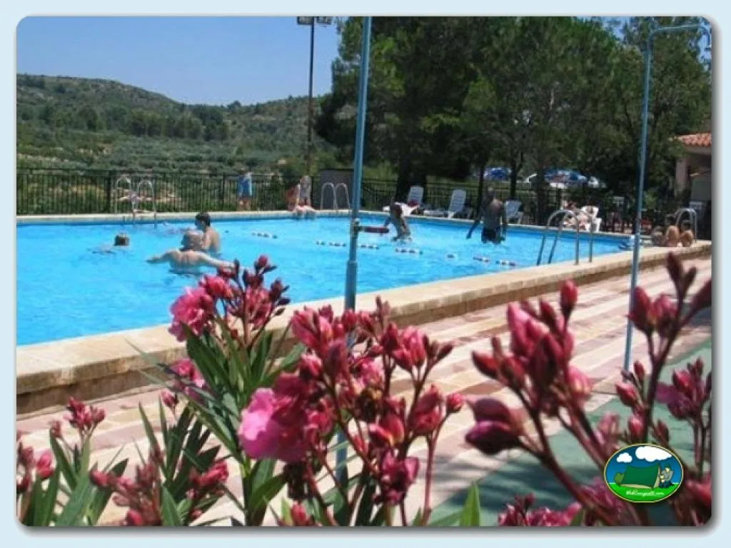Piscina con vistas a la montaña y flores del Camping Villa de Viver, Viver (Castellón)