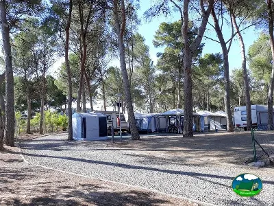 Mobil-home entre pinos del Camping Municipal de Altura, Altura (Castellón)