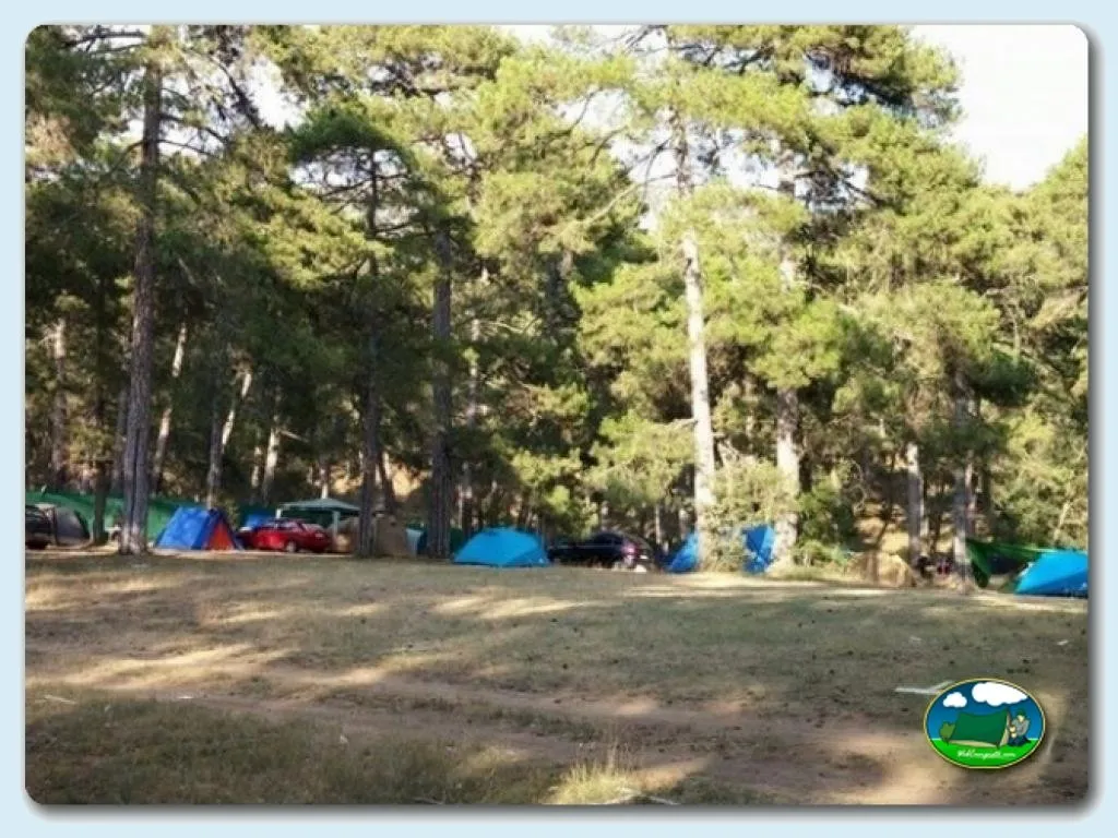 Camping La Dehesa en Cañamares, Cuenca - imagen 5