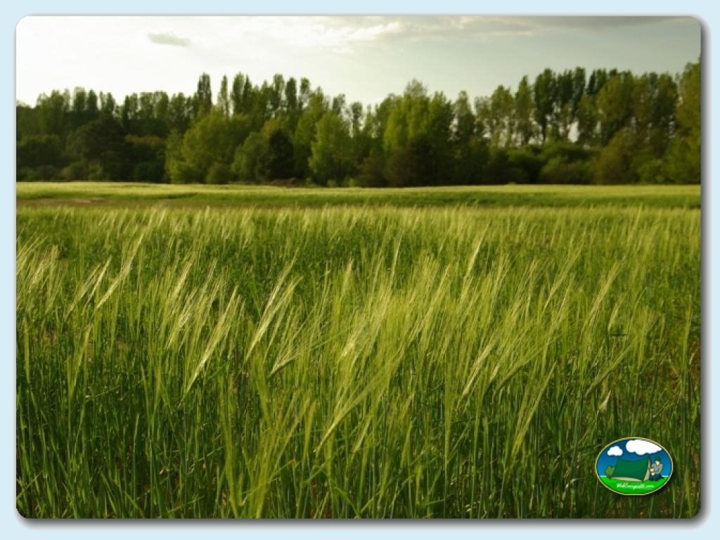 Camping Caravaning Cuenca