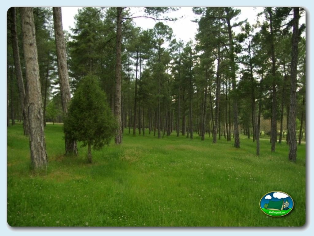 Camping Caravaning Cuenca