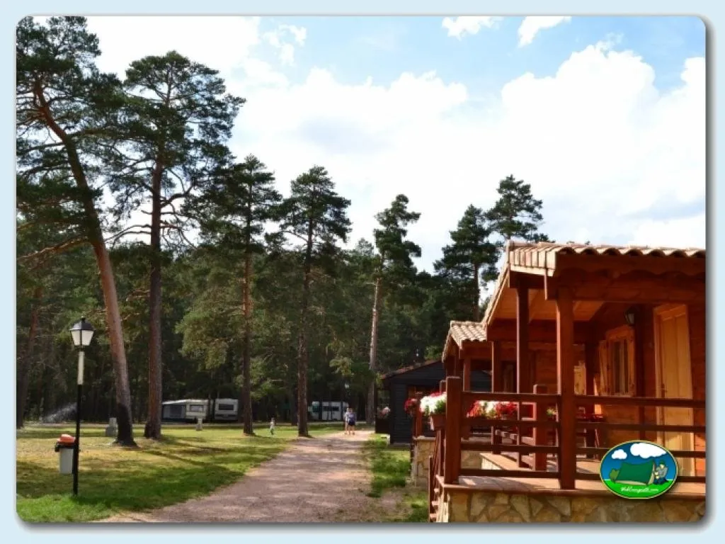 Cabaña de madera en entorno de pinar del Camping Orea, Orea (Guadalajara)