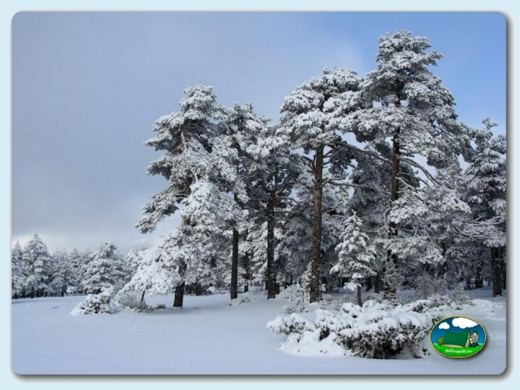 foto del camping Camping Orea